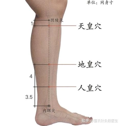 下三皇穴位|下三皇：补肾强身的要穴 